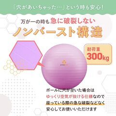 【※10月31日受付終了】プリマソーレ フィットネスボール 55cmの画像