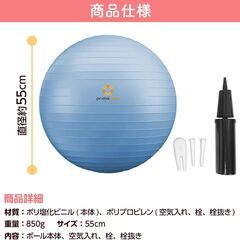 【※10月31日受付終了】プリマソーレ フィットネスボール 55cmの画像