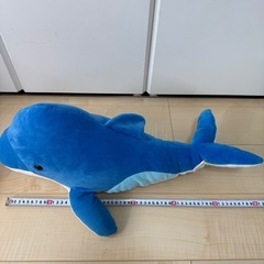 まるふわアザラシBIGぬいぐるみ イルカ 小さいアザラシ ぬいぐるみまとめの画像