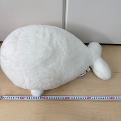 まるふわアザラシBIGぬいぐるみ イルカ 小さいアザラシ ぬいぐるみまとめの画像
