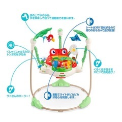 フィッシャープライス　レインフォレストジャンパルーの画像