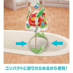 フィッシャープライス　レインフォレストジャンパルーの画像