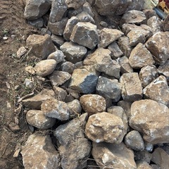 至急庭石欲しい方いらっしゃいますか？の画像