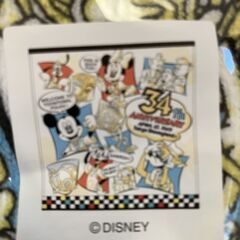 新品未使用 東京ディズニーランド　ウォッシュタオル　の画像