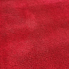 もらって下さい！真っ赤なじゅうたん⭐︎ 中古の画像