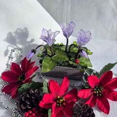 ディップフラワー シクラメンꕤ︎︎·͜·の画像