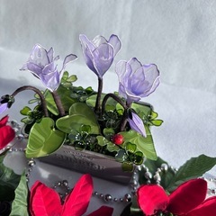 ディップフラワー シクラメンꕤ︎︎·͜·の画像