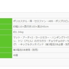 【定価¥8700】ベビージムの画像