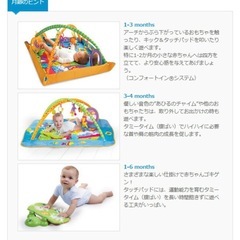 【定価¥8700】ベビージムの画像