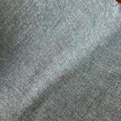 NOCE オーガニックチェア風（オーシャンブルー）1脚のみの画像