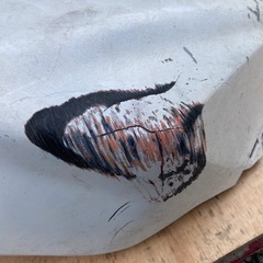 CBR600RR 05-06 タンクカバー　フロントフェンダーの画像