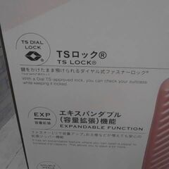 コストコ品番　74615　エース イグザクト 機内持込みサイズ スーツケース （拡張機能付き）　 A17366の画像