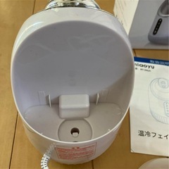 フェイススチーマの画像