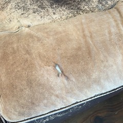 レザーソファの画像