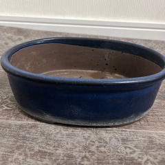 植物用器
の画像