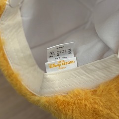 ディズニーグッズ　Tシャツ、帽子、ショルダーポーチの画像