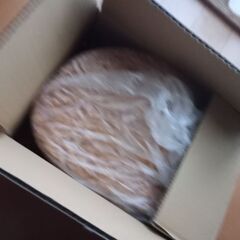 ホワイトペレット1kg / 3kg　猫砂、ストーブ、燃料、マルチング等の画像