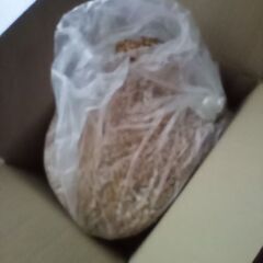 ホワイトペレット1kg / 3kg　猫砂、ストーブ、燃料、マルチング等の画像