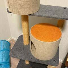 猫タワーの画像