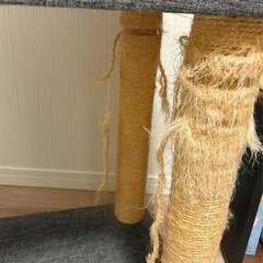 猫タワーの画像