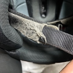 アライSZの画像