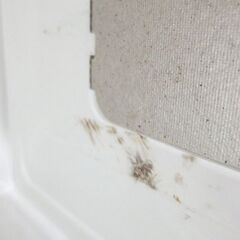 電子レンジ 2023年製 17L YMW17HL5 50Hz専用 ヤマダオリジナル あたため専用 ☆ 札幌市北区屯田の画像