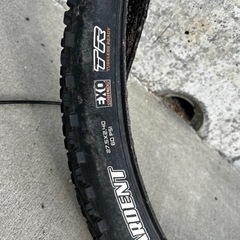 　2019年式　プロキャリバー8 トレック　マウンテンバイク　自転車　チューブレス　ドロッパーシートなどカスタム　サイズ15.5の画像