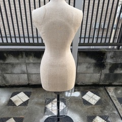 トルソー　女性の画像