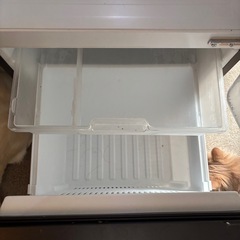 Panasonic 冷蔵庫　一人暮らし用の画像