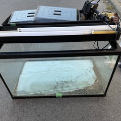 【取引確定済】水槽　セットの画像