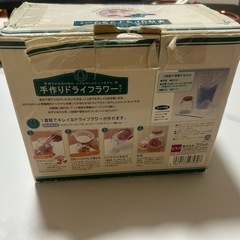 ドライフラワーキッドの画像