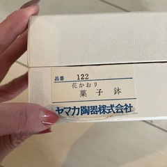 大吉釜　和食器　サラダやデザートの画像