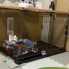犬ケージの画像