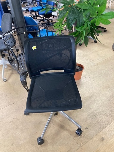 茶道具 茶碗 干支茶碗 大倉貞義 造 本物 N23C 茶道具 茶碗 干支茶碗