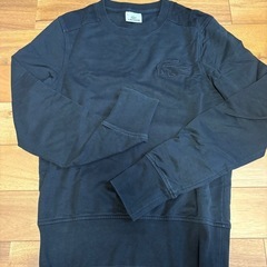 ラコステ　長袖の画像