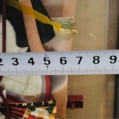 羽子板飾りの画像