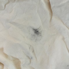 ユニバで買ったショルダー♡の画像