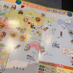 クリアファイルと下敷きの画像