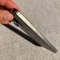 【極美品】iPhone16 Pro 256GB SIMフリーの画像