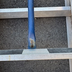 ラダーはしこハシゴの画像