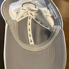 スリクソンキャップの画像