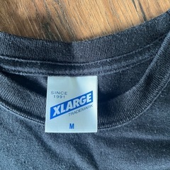 メンズTシャツMの画像