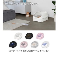 猫　トイレ　ホワイトの画像