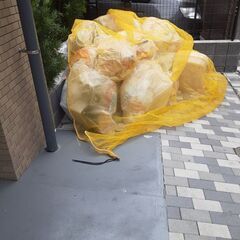 【赤羽駅】【月約5万円】【週5日×朝2時間】マンション清掃/未経験者可～日払い可(赤羽2)の画像