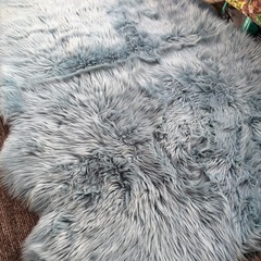 エクファー　アクセントラグの画像