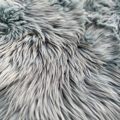 エクファー　アクセントラグの画像