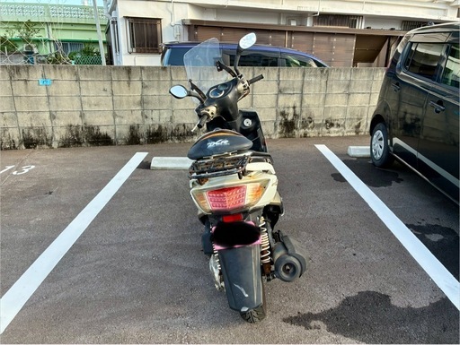シグナス　2型　台湾製