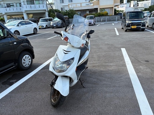 シグナス　2型　台湾製