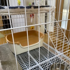 子猫用ケージ 一式　中古の画像