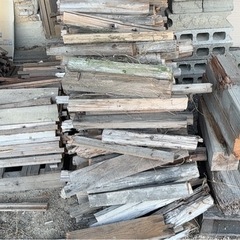 焚き火　薪の画像